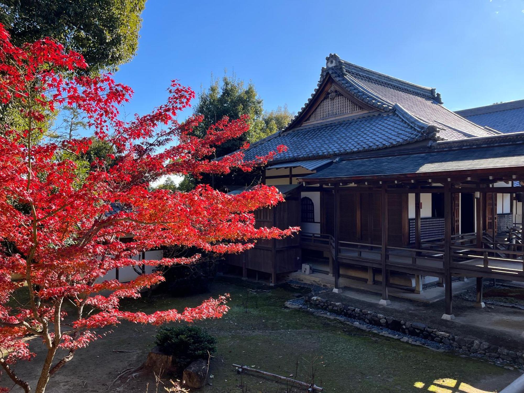Apartment 嵐山 天龍の宿 駐車無料 一棟貸切 最大5人 Dragon Legend Arashiyama Private Rare Modern Free Parking Max 5ppl