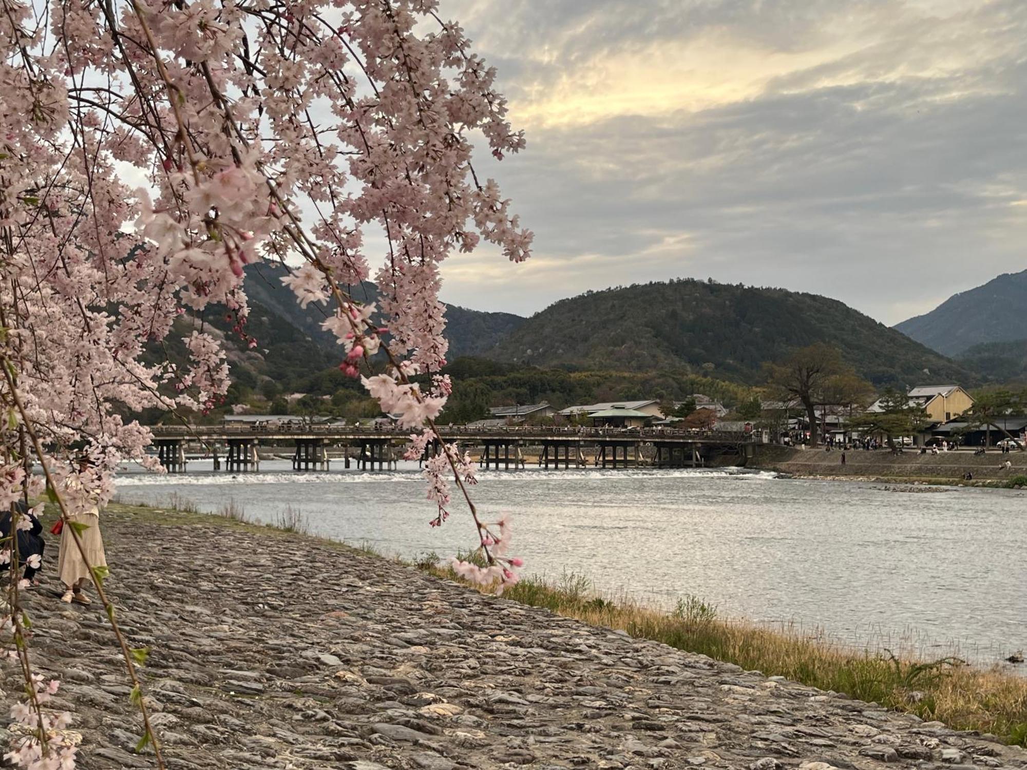 嵐山 天龍の宿 駐車無料 一棟貸切 最大5人 Dragon Legend Arashiyama Private Rare Modern Free Parking Max 5ppl Shimosaga